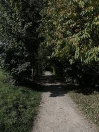 Seezelg 10